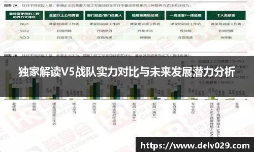 独家解读V5战队实力对比与未来发展潜力分析