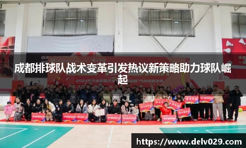 成都排球队战术变革引发热议新策略助力球队崛起