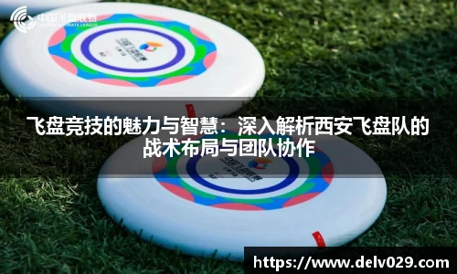 YY体育